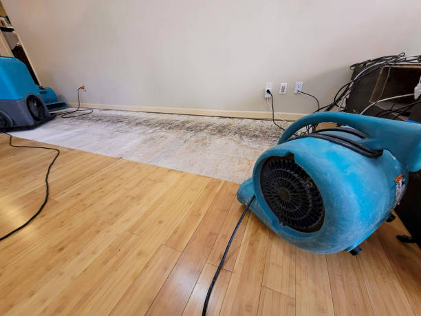 Professional Emergency Water Damage technician working in Niverville, NY